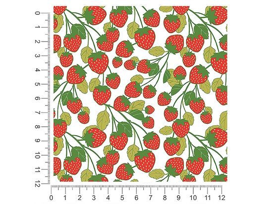 On the Bush Fruit 1ft x 1ft Craft Sheets