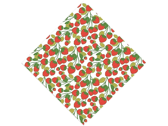 On the Bush Fruit Vinyl Wrap Pattern