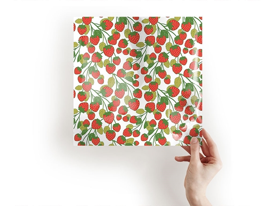 On the Bush Fruit Craft Sheets