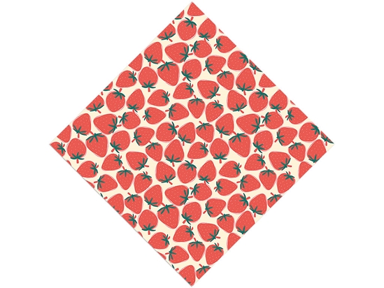 Rosa Linda Fruit Vinyl Wrap Pattern