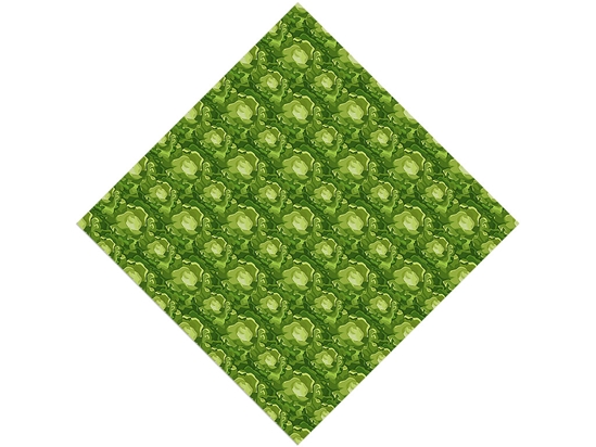 Boston Butterhead Vegetable Vinyl Wrap Pattern