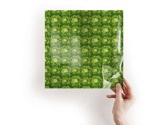 Boston Butterhead Vegetable Craft Sheets