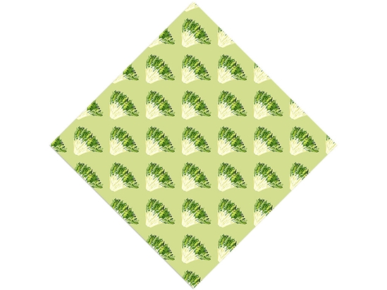 Frizzy Frisee Vegetable Vinyl Wrap Pattern