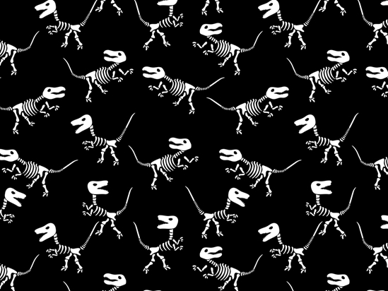 Lost Kings Dinosaur Vinyl Wrap Pattern