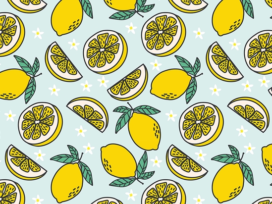 Four Seasons Fruit Vinyl Wrap Pattern