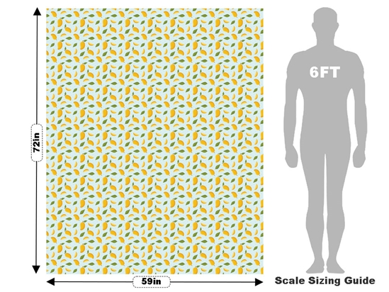 Cultivated Carrie Fruit Vehicle Wrap Scale