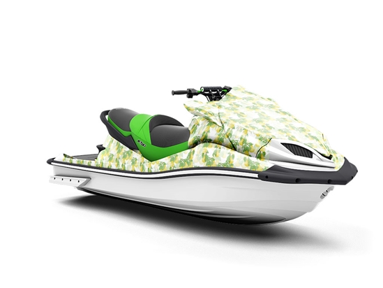 Timeless Anjou Fruit Jet Ski Vinyl Customized Wrap