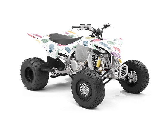 Taste the Rainbow Fruit ATV Wrapping Vinyl