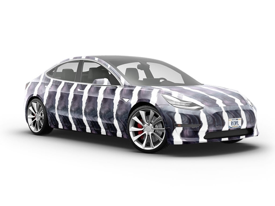 Turritella Fossil Gemstone Vehicle Vinyl Wrap