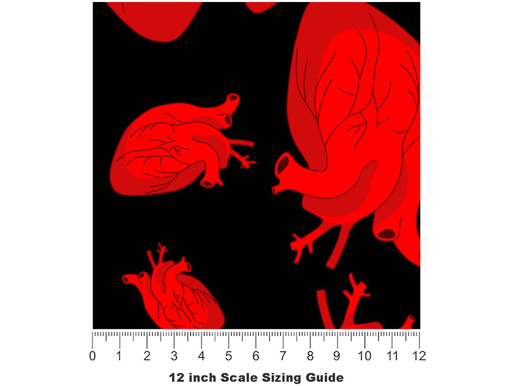 Anatomical Amour Heart Vinyl Film Pattern Size 12 inch Scale