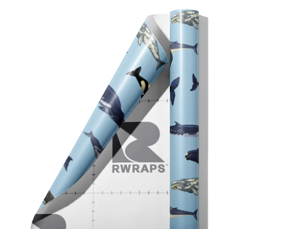 Parading Along Marine Life Wrap Film Sheets