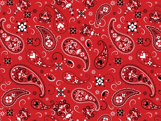 paisley pattern bandana
