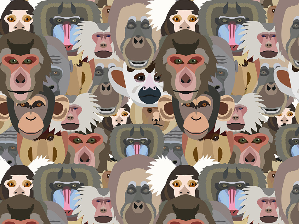 Primate Promenade Primate Vinyl Wrap Pattern