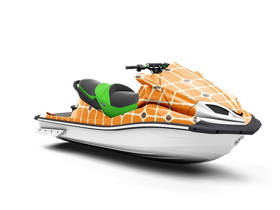 That Lady Retro Jet Ski Vinyl Customized Wrap