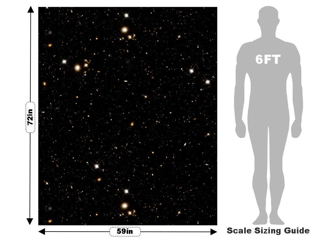 Gold Field Science Fiction Vehicle Wrap Scale