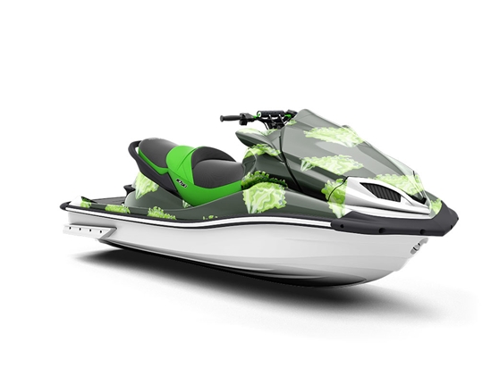 Sierra Batavia Vegetable Jet Ski Vinyl Customized Wrap