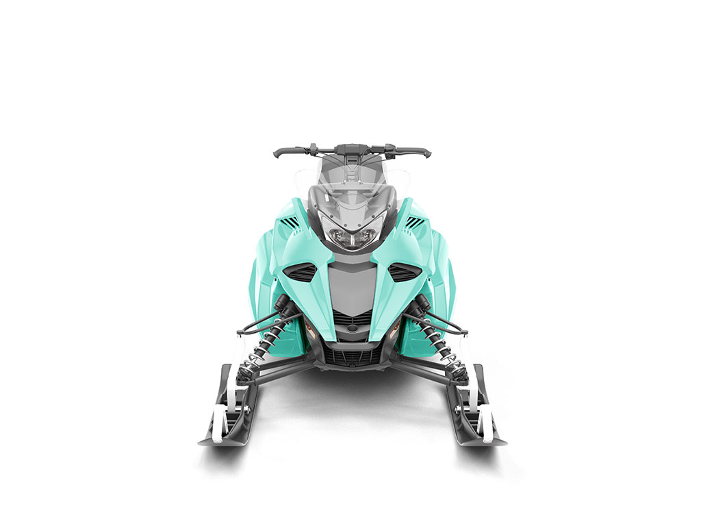 ORACAL 970RA Matte Mint DIY Snowmobile Wraps