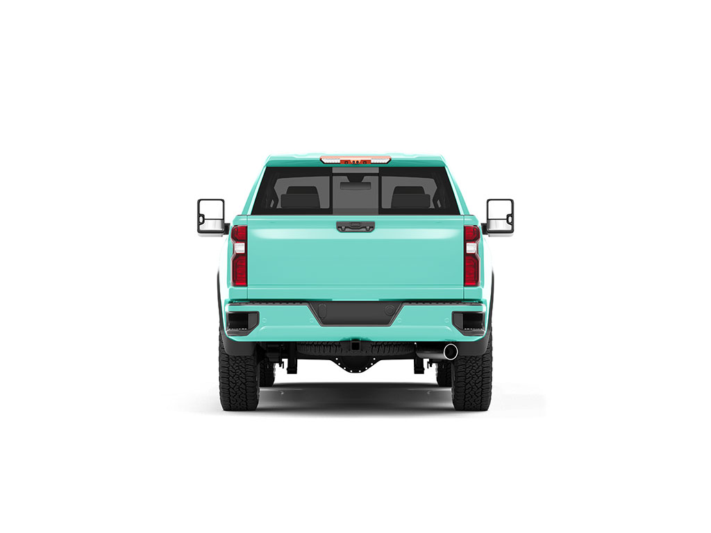 ORACAL 970RA Matte Mint Truck Vinyl Wraps