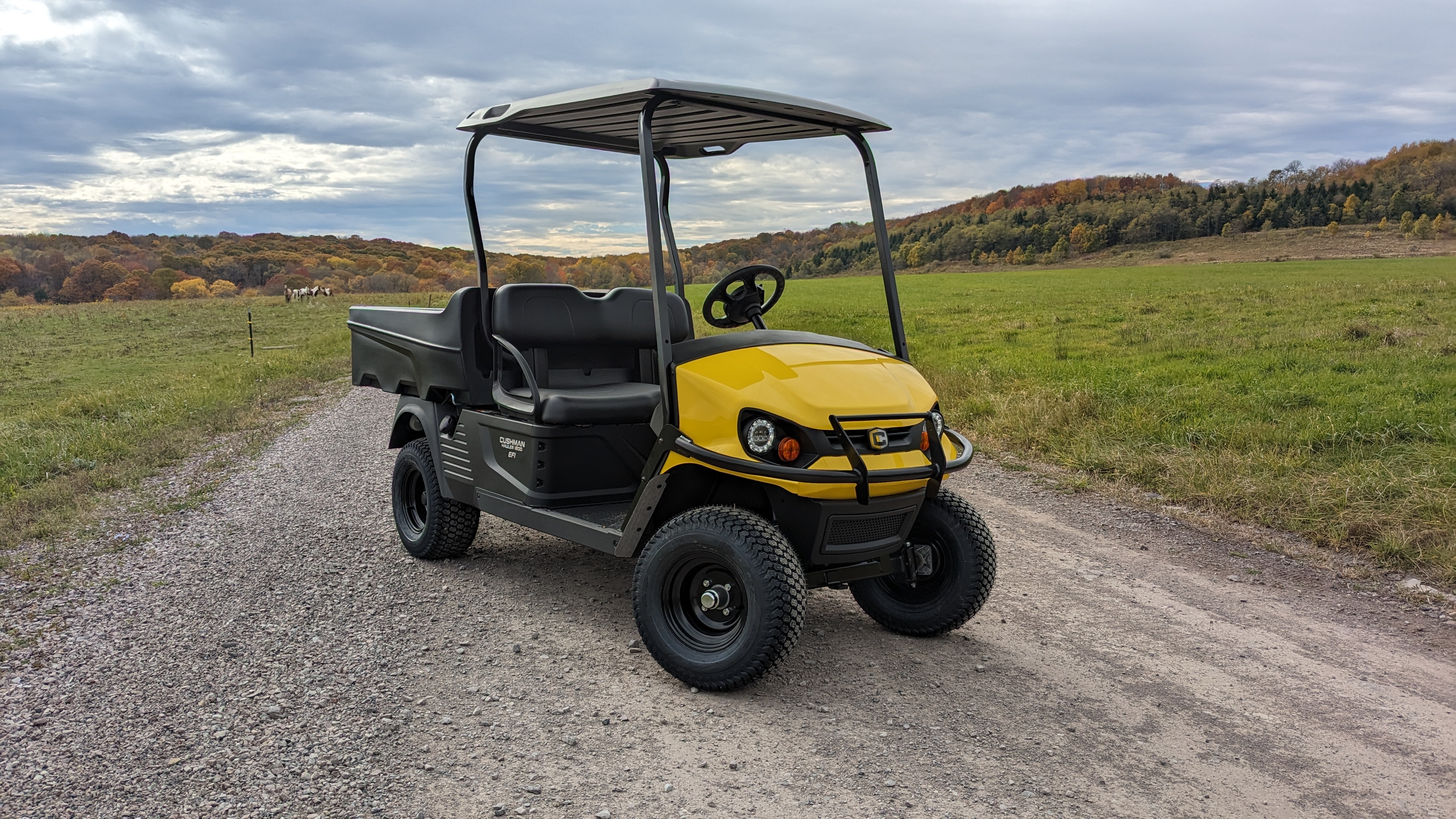 Cushman Scooter Wraps